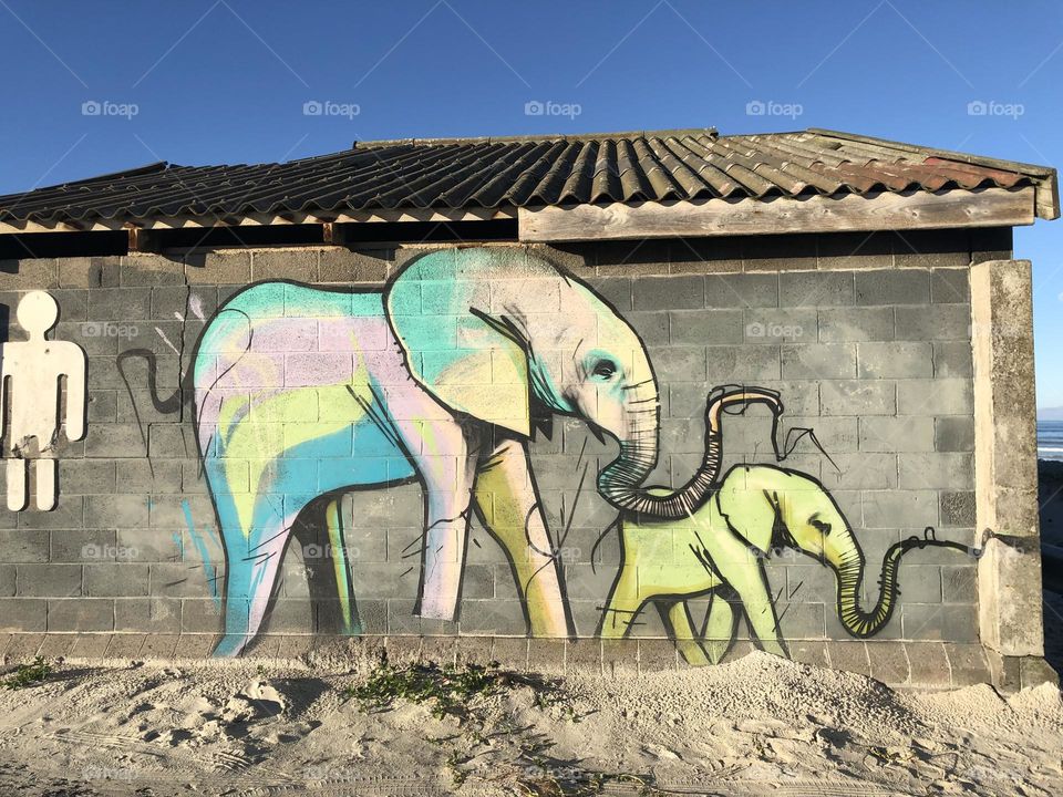 This is such a simple picture and yet it is a representation of such a magnificent animal. This was taken on the beach in Cape Town.