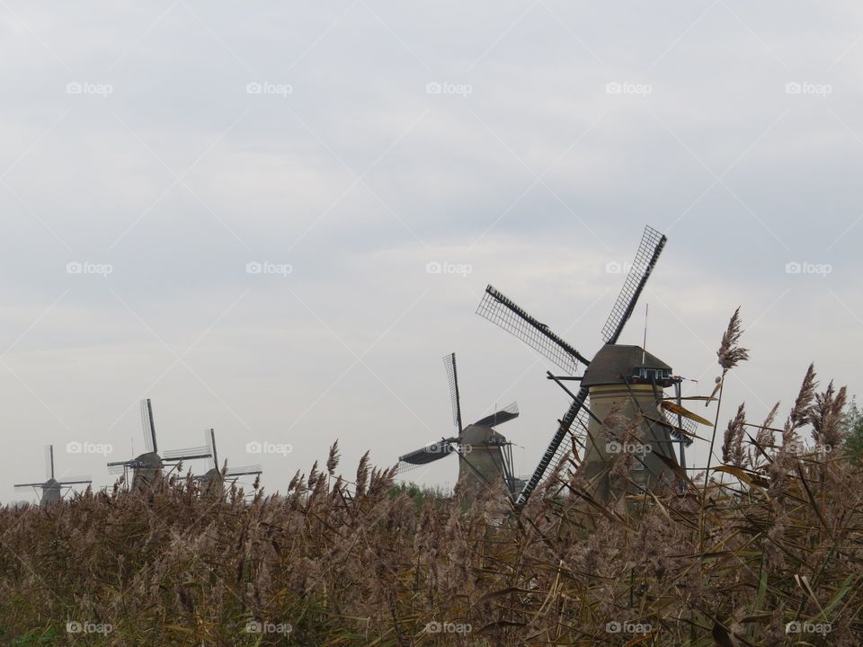 Windmills at Kinderdijk the Netherlands