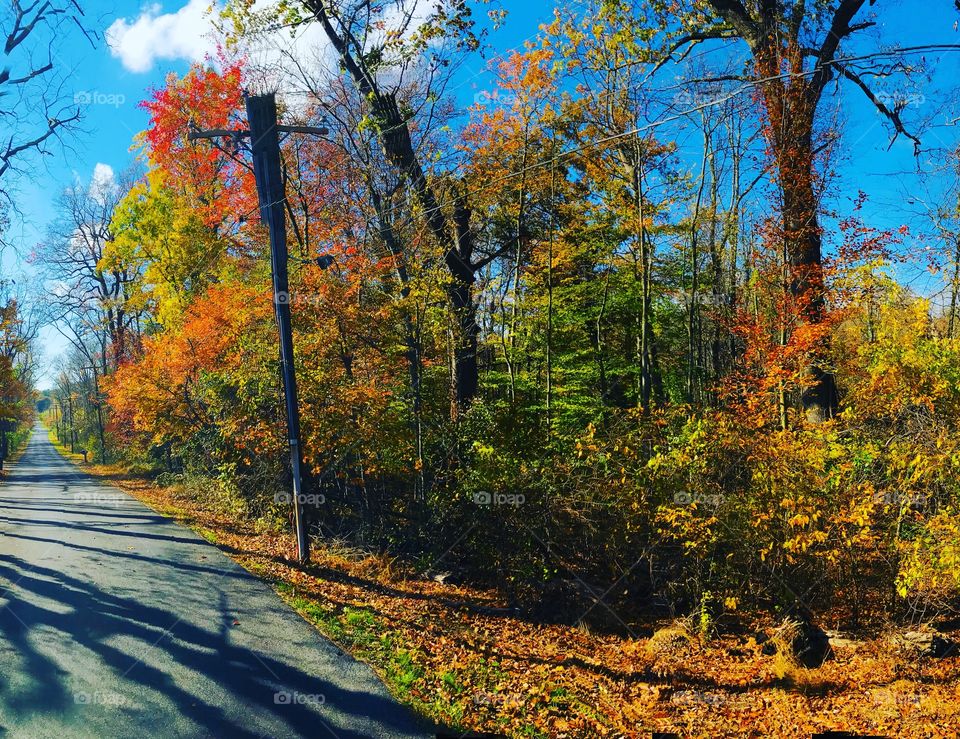 Country side road when the leaves begin to change color