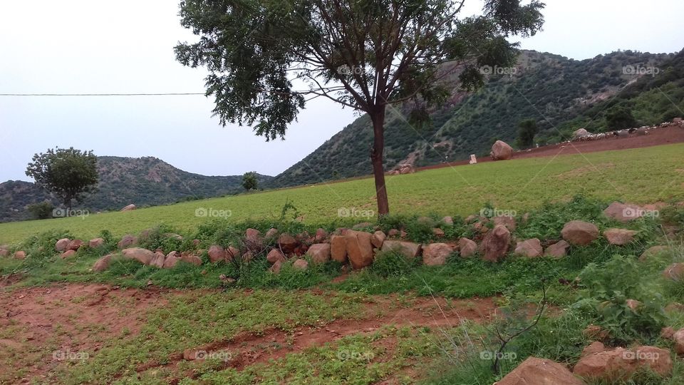 nature is my best friend