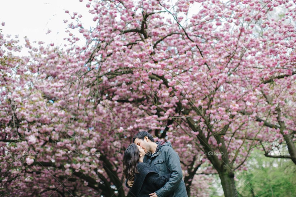 Couple kissing in the springtime, with beautiful pink flower blossoms in the background. True love captured in a moment.
