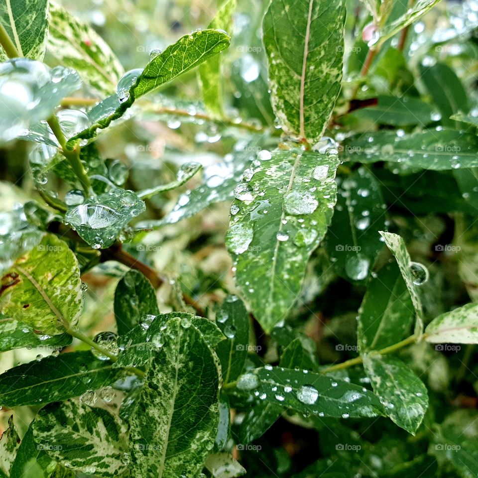 It's autumn time with rain