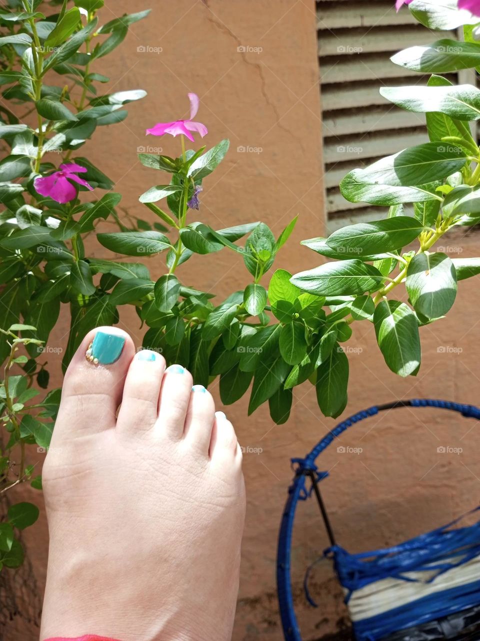 Feet Model and Nail Design