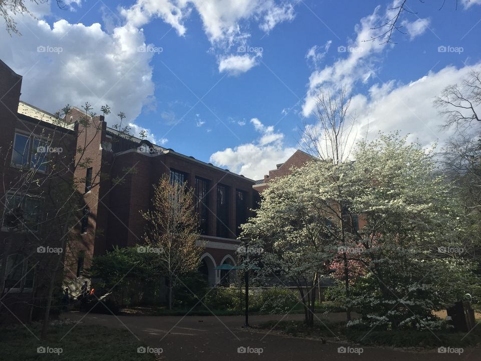 Vanderbilt university in Nashville 