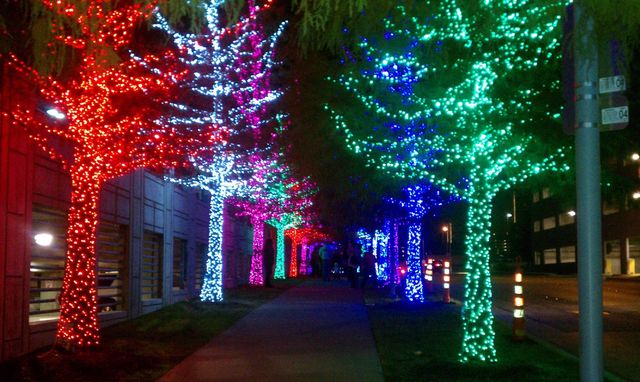 Christmas Lights In Streets