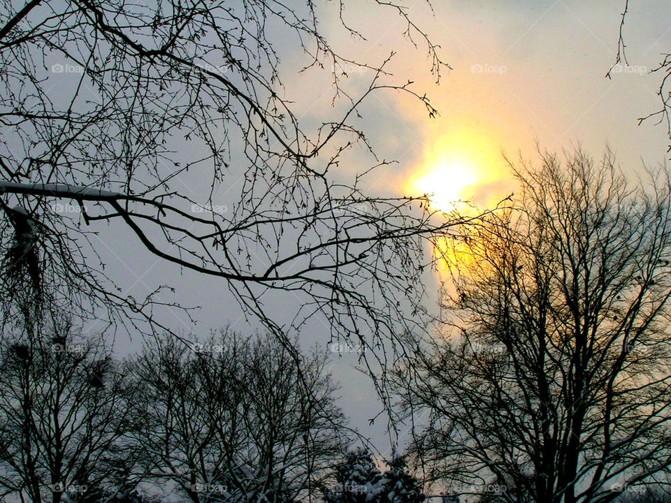 winter sky sweden light by ylvafloreman