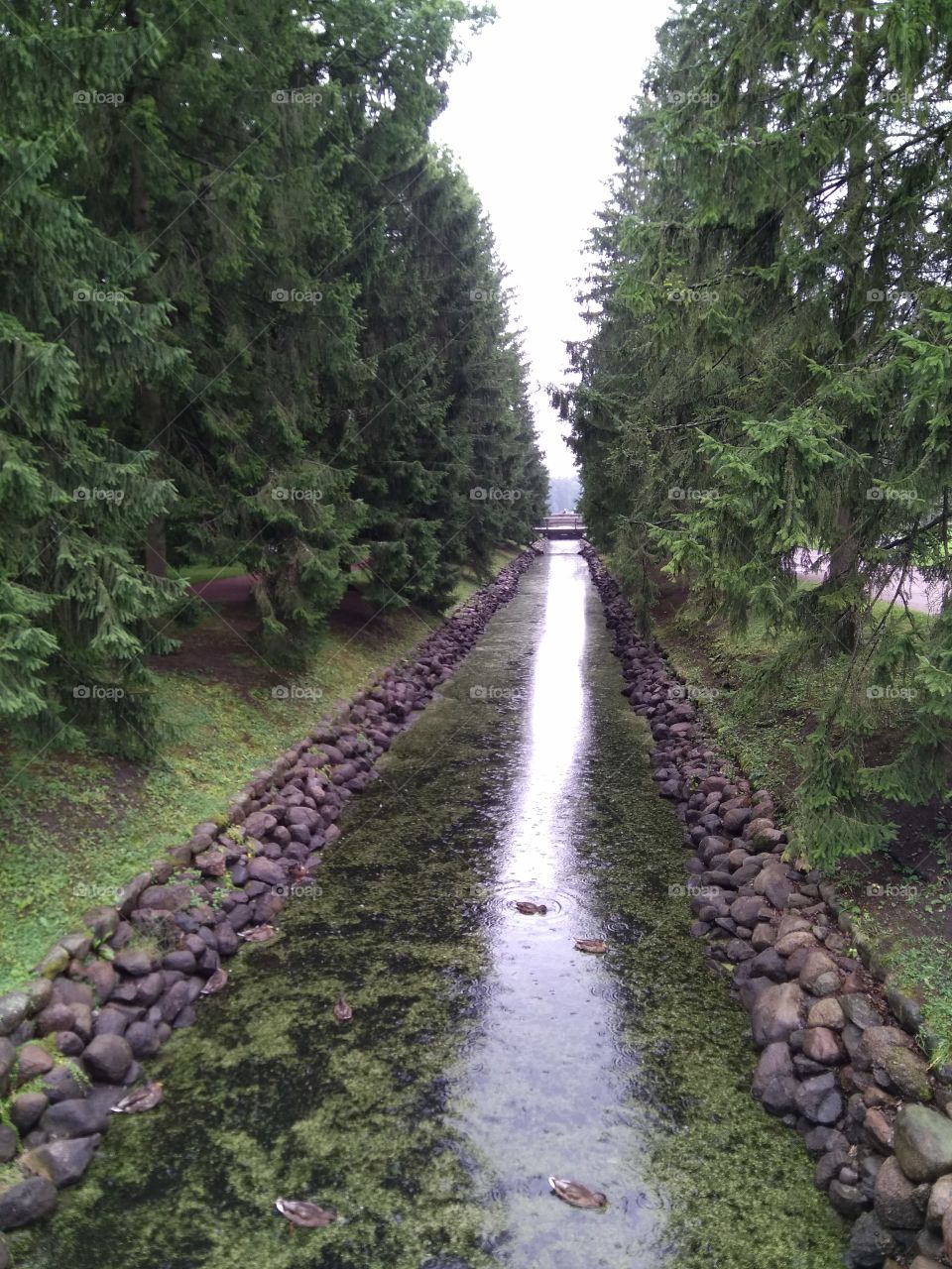 прогулка по царскому парку аллеи и каналы зелень и вода