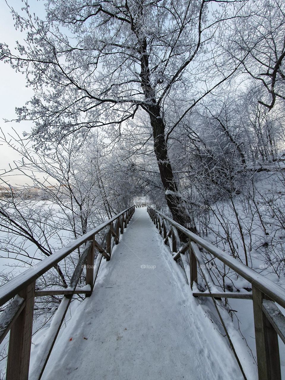 O love, the cold of winter has been dissipated by your warmth. ❤️❄️

May the path of everyone 's life, white and clear as snow