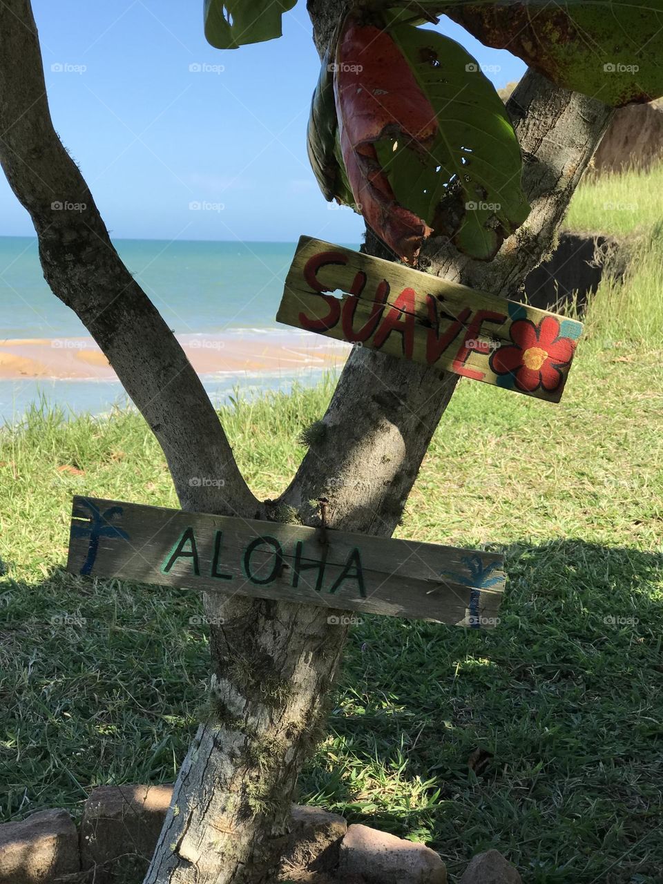 Foap brazil aqui é incrível para turistas 