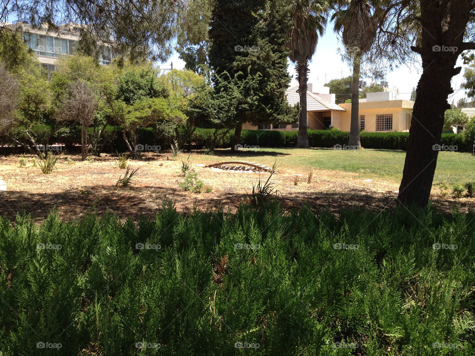 green spring yellow summer by a.bilbaisi