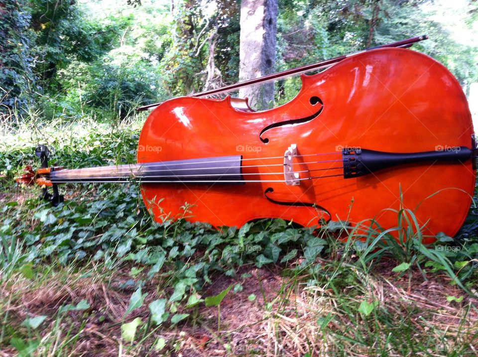 Cello and Ivy # 2