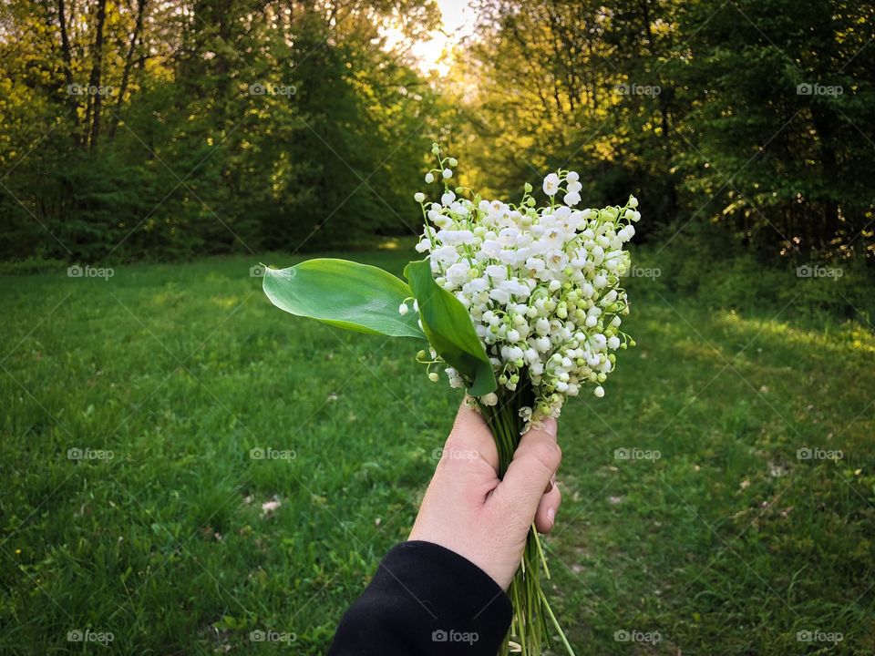 Woman’s hand holding a lily of the valley bouquet in the middle of a green forest 