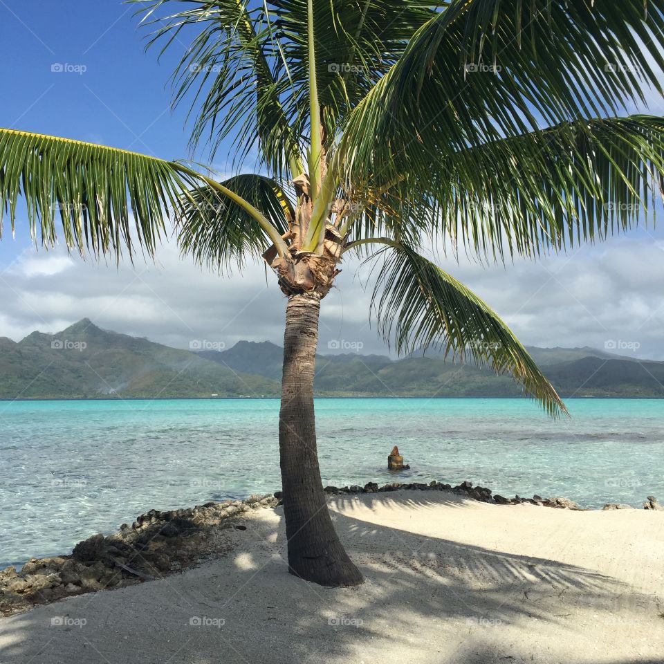 Beach in Tahiti