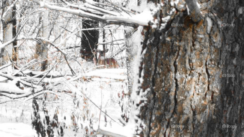 weathering the storm