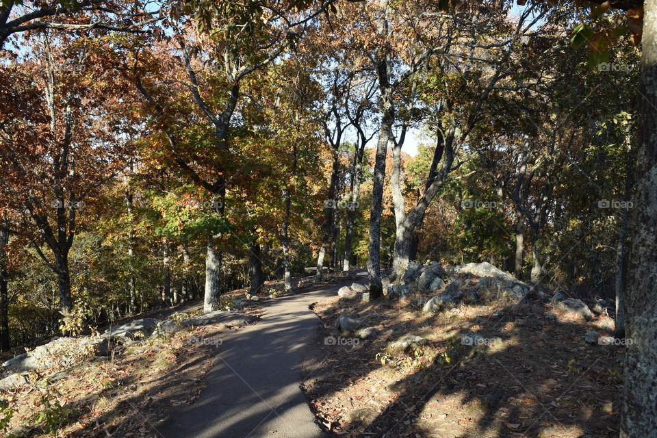 Hiking trail