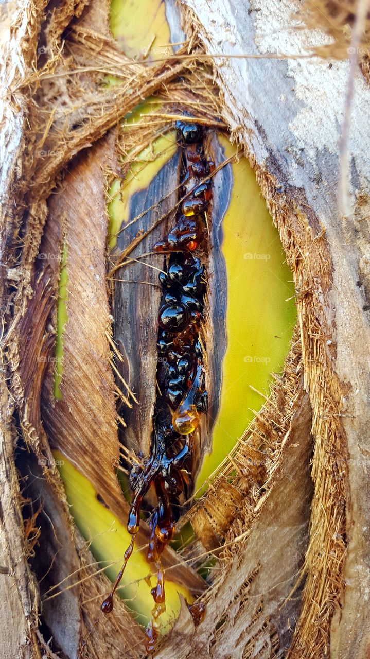 Perfect imperfect natural crack