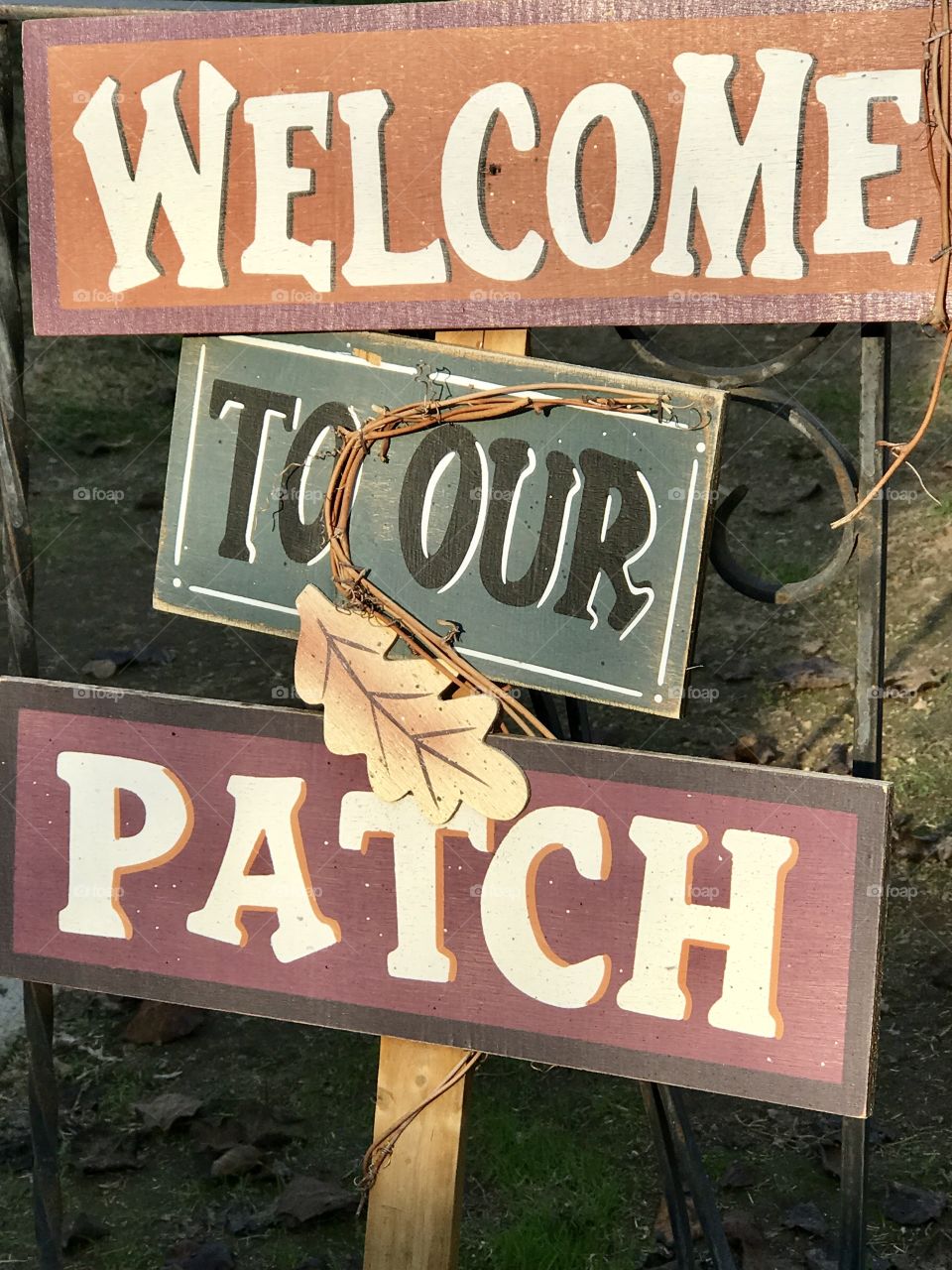 Welcome - flower patches 