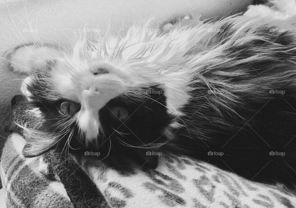 Want to see new sites? Change your perspective