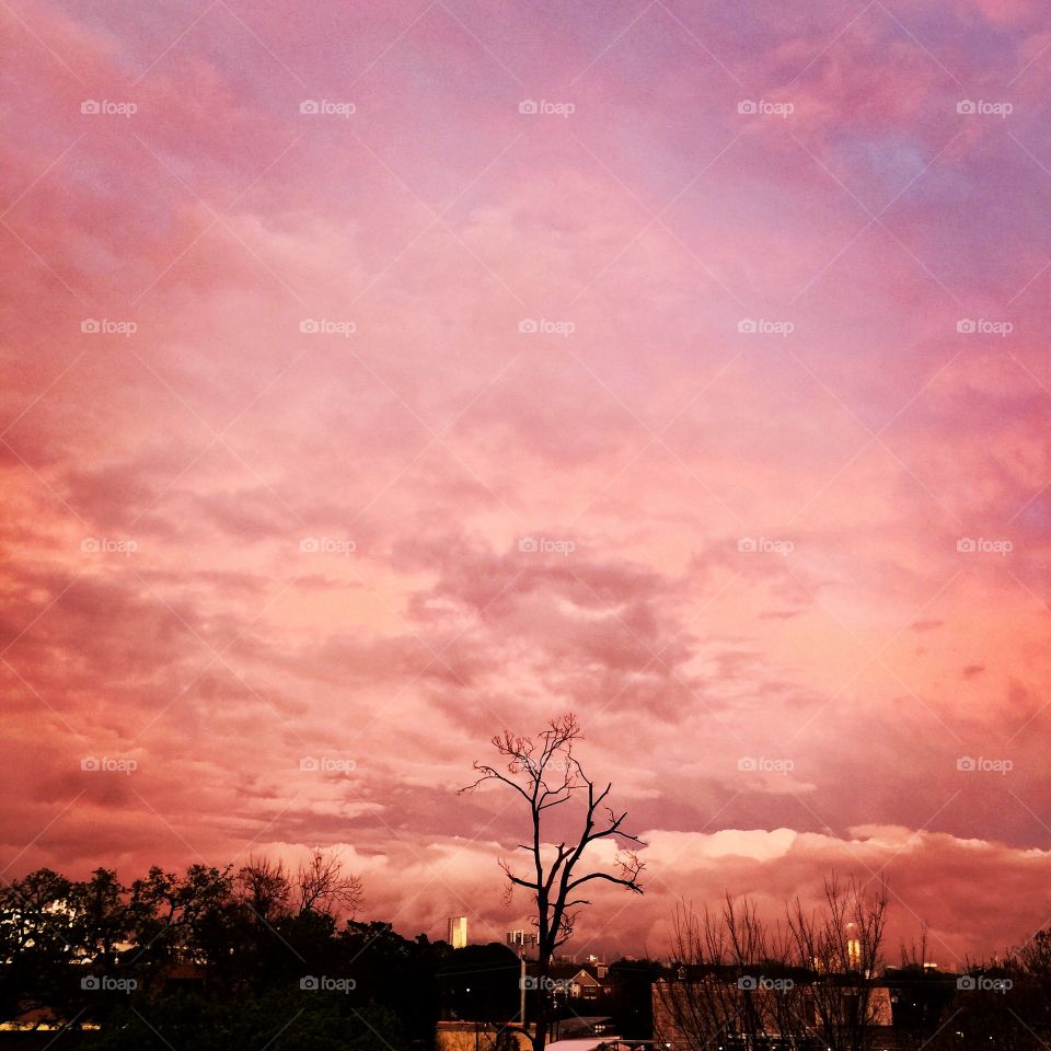 Pink sunset 