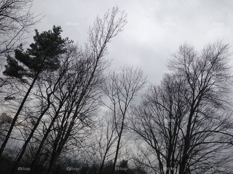 Stormy morning in Massachusetts 