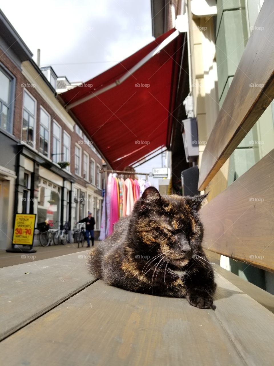 Wandering the town of Gorchem, as the many colored storefronts amble by, the many streets of cobble underfoot, this friendly feline caught mine eye. Basking as the hustle passes by. Lounging, purring, soaking up the midday sun. Abundant is the magic.