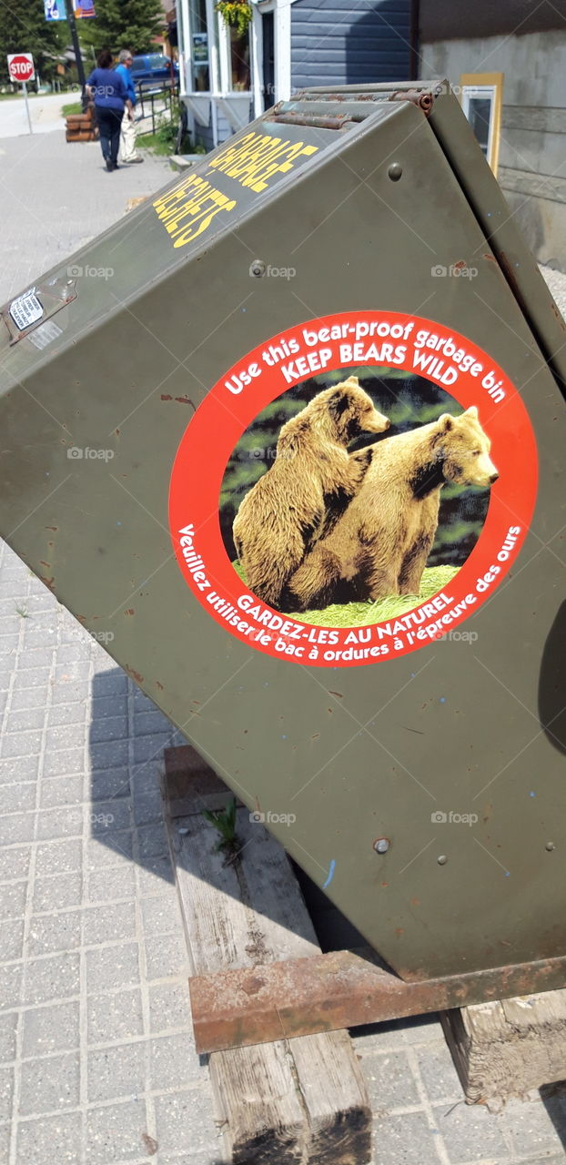 bearproof carnage bin