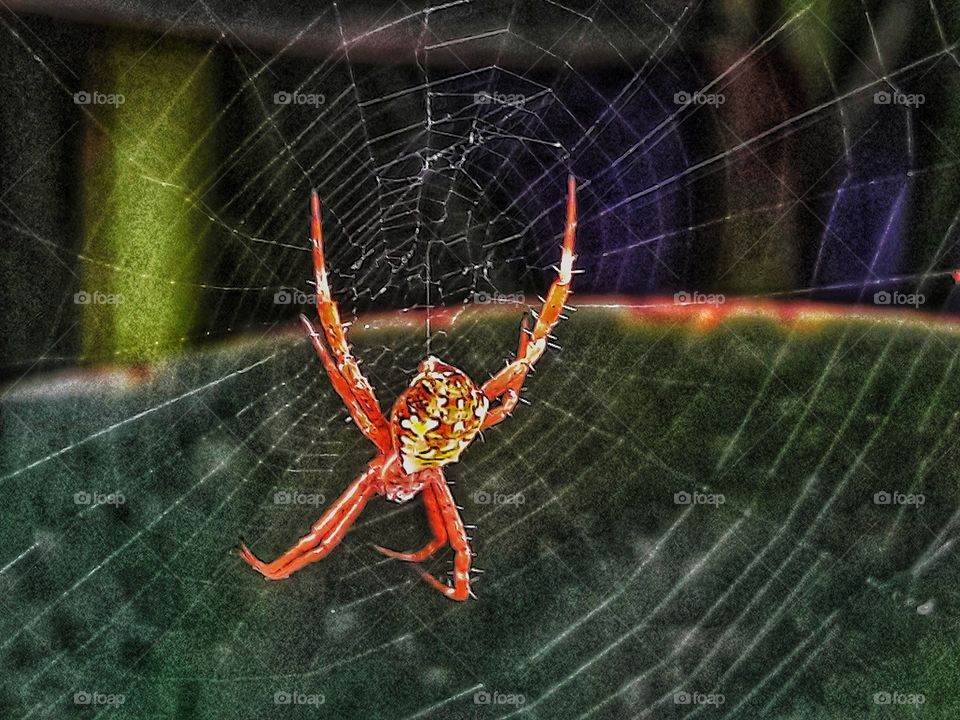 The best time for a person to contemplate is when he has flinched, when someone's net has been torn apart by the pain of loss of dependency