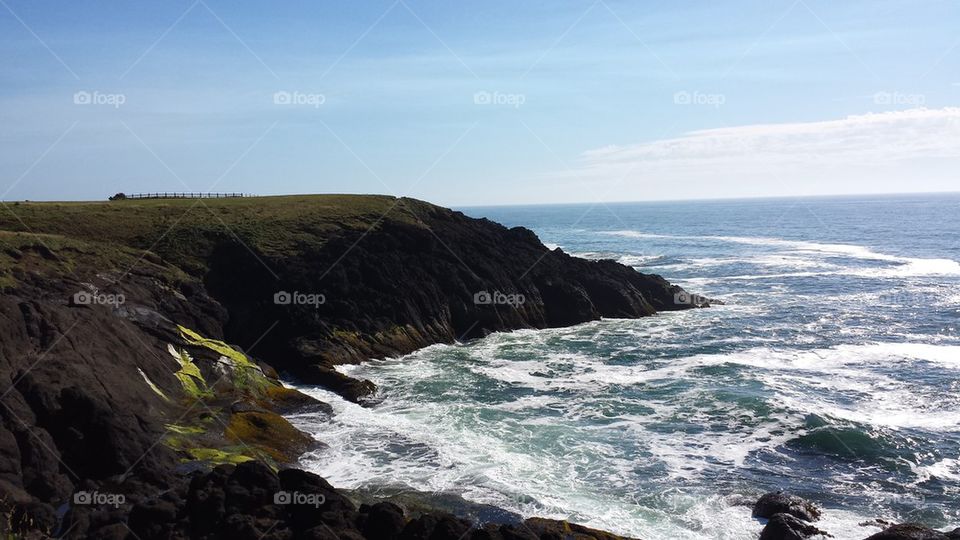 Whale Cove Area