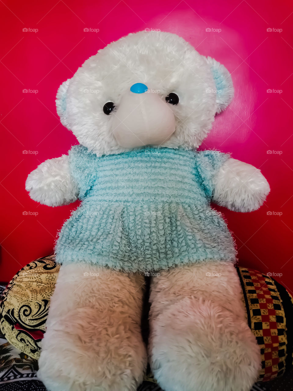 teddy bear vadodara india