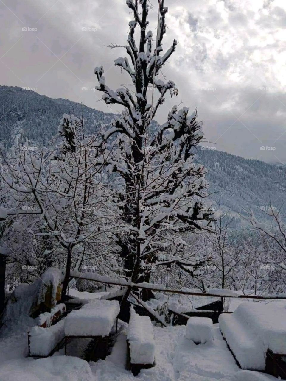 A most beautiful and attractive view of the mountains.