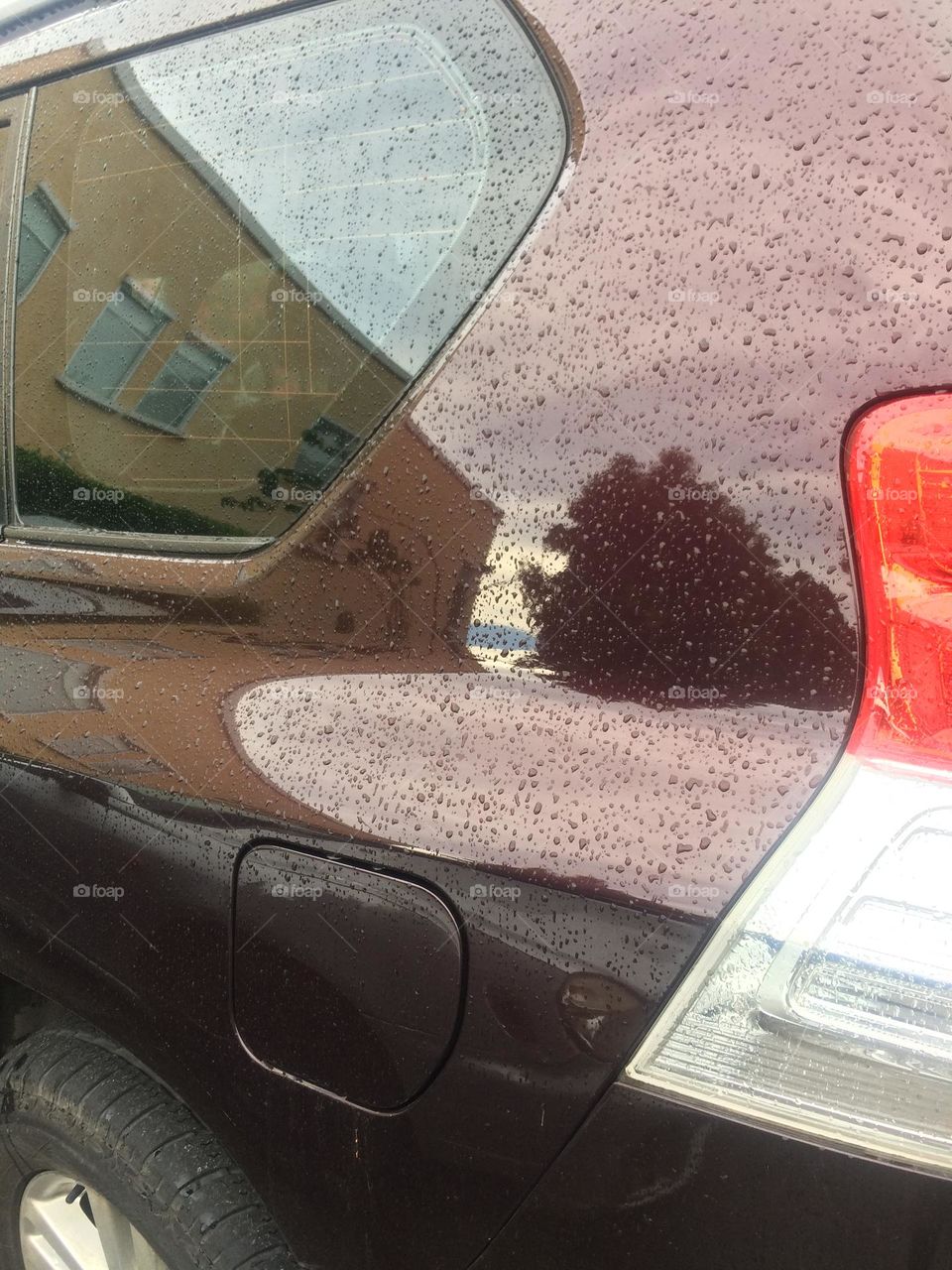 Raindrops After The Rain