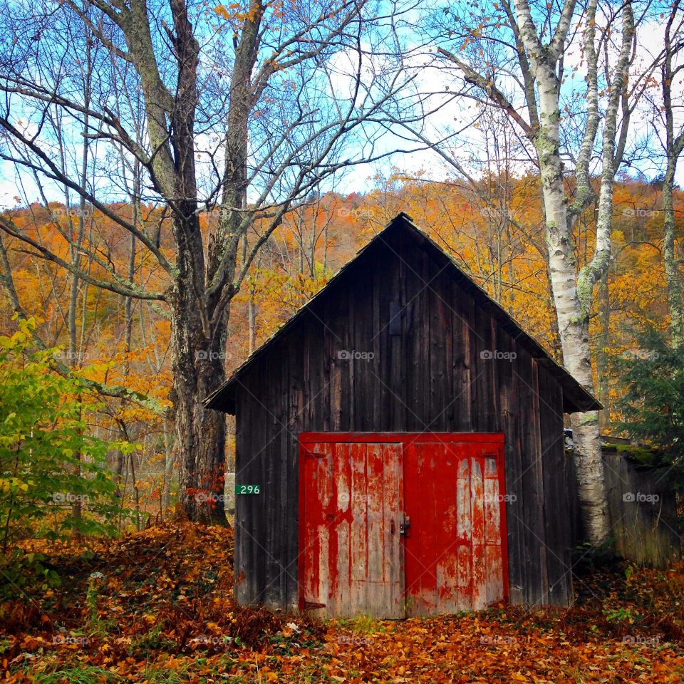 Red shed door