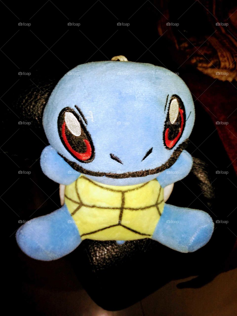 squirtle soft toy at my house