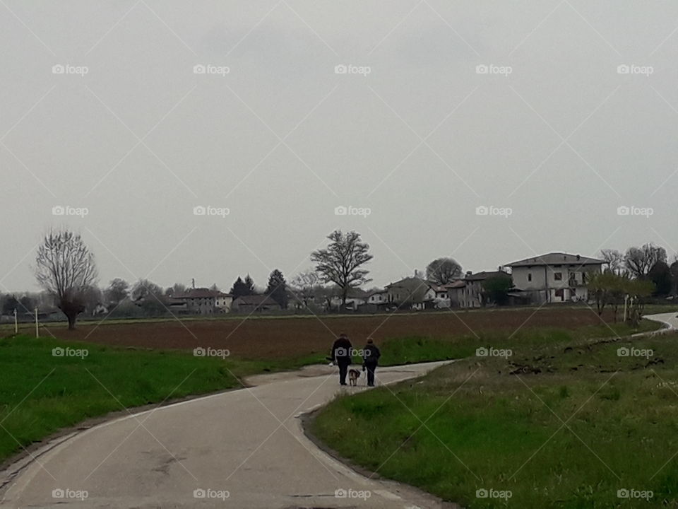 Spring walk with the dog