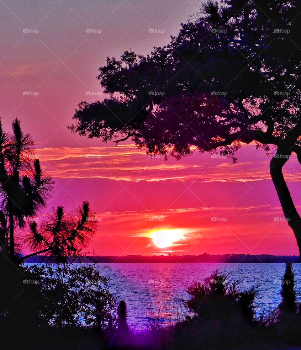 Purple sunset reflections 