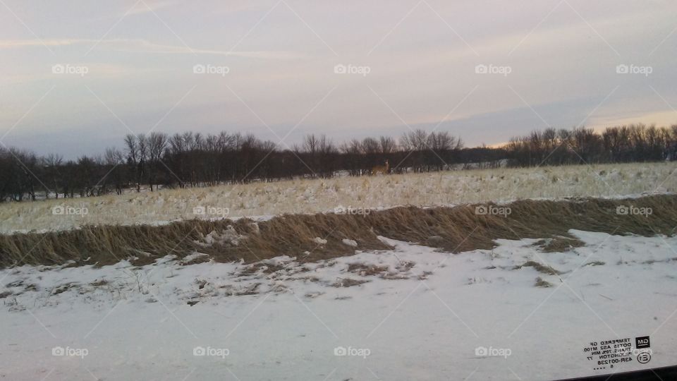 Winter, Landscape, Snow, Water, Weather