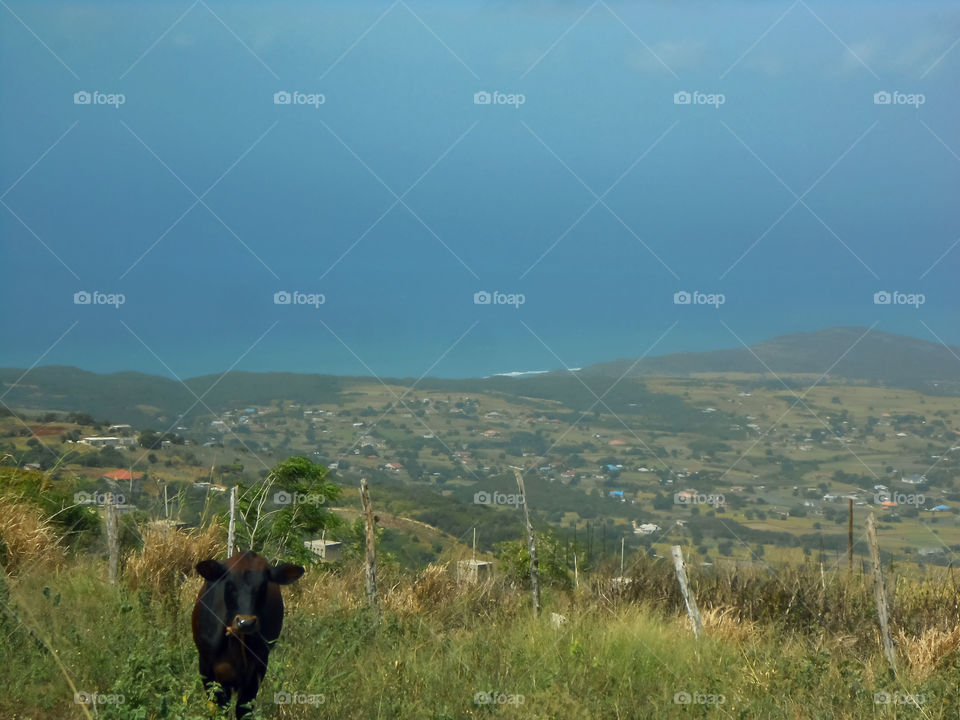 View Beyond Coastline