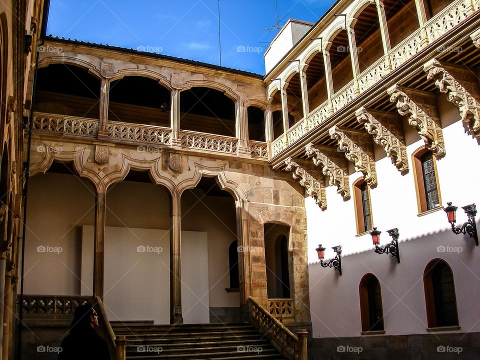 Palacio de La Salina. Palacio de La Salina (Salamanca - Spain)