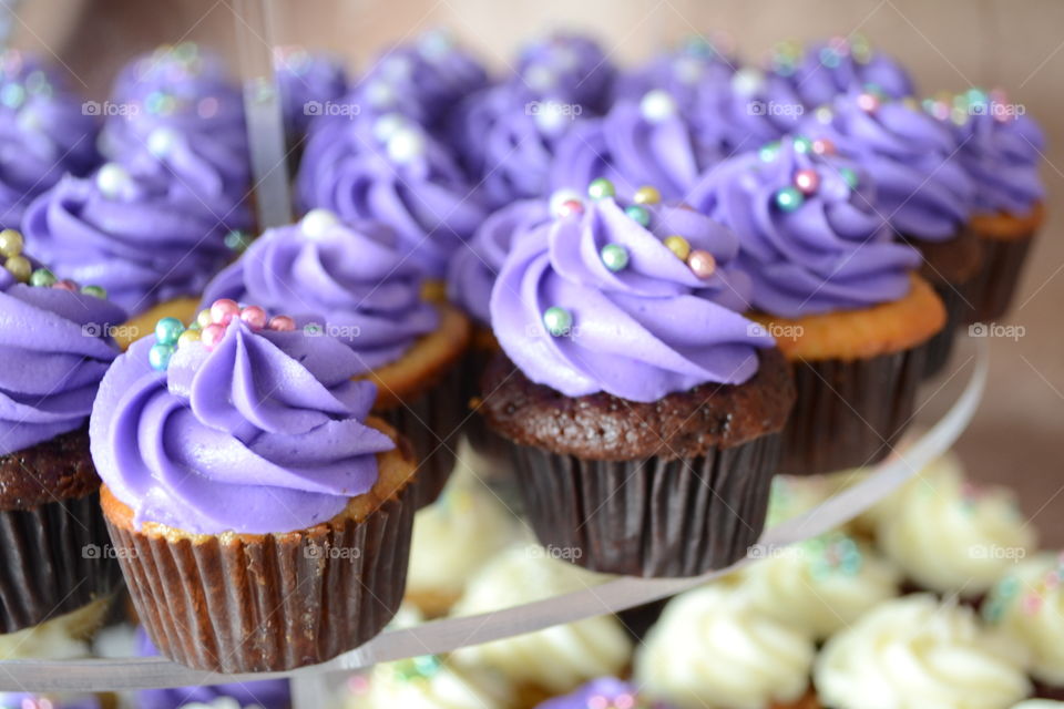 Purple Cupcakes 