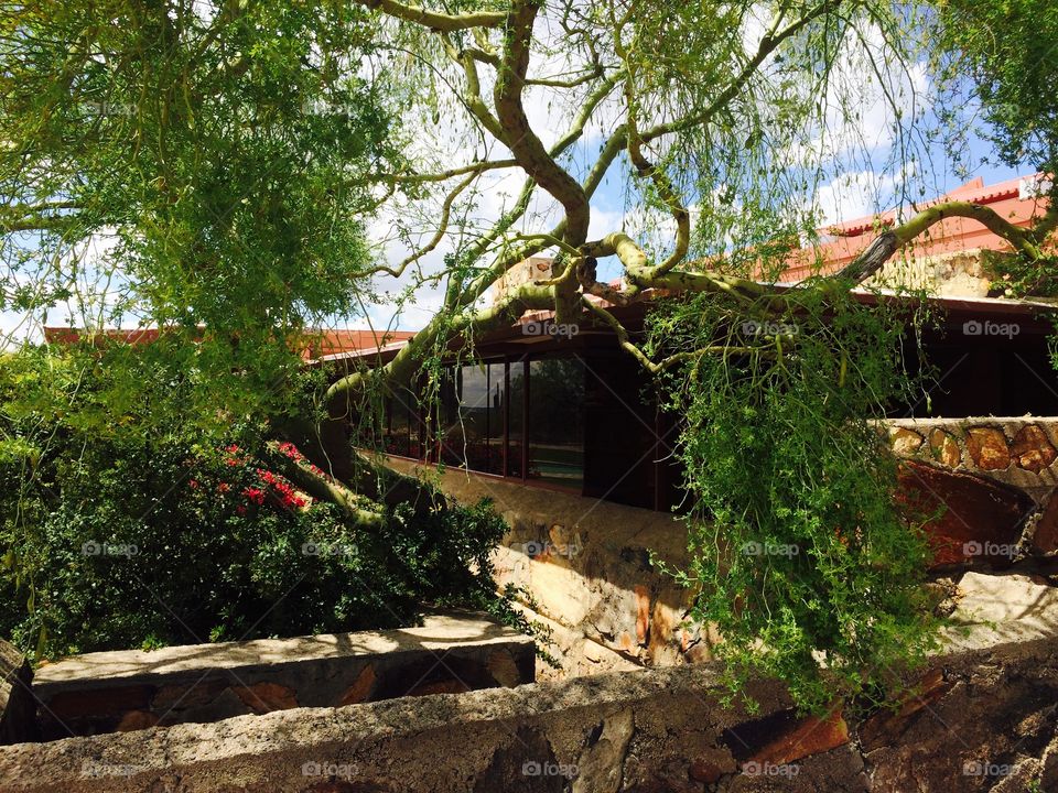 Taliesin West