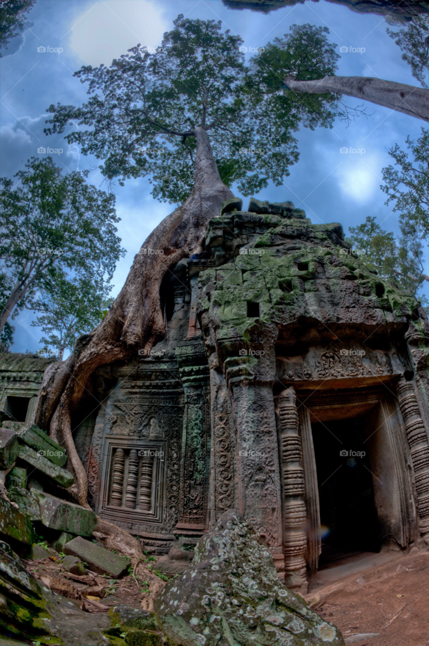 asia roots cambodia siem reap by paulcowell