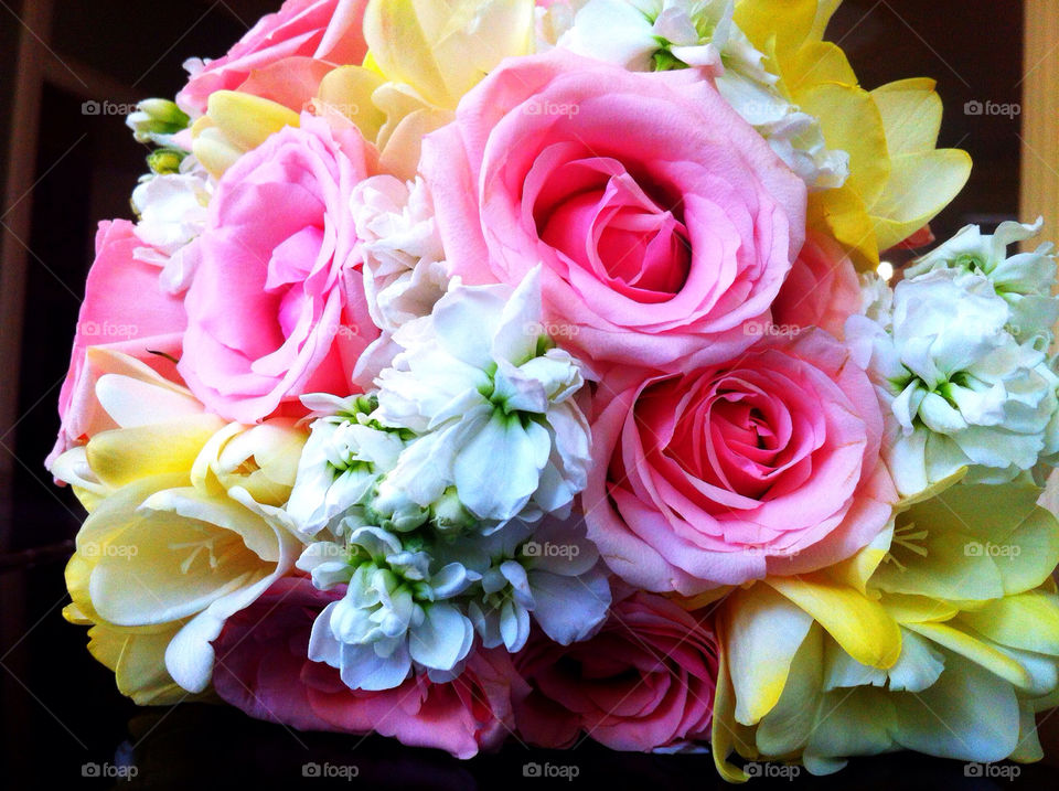 flowers yellow pink white by avphoto