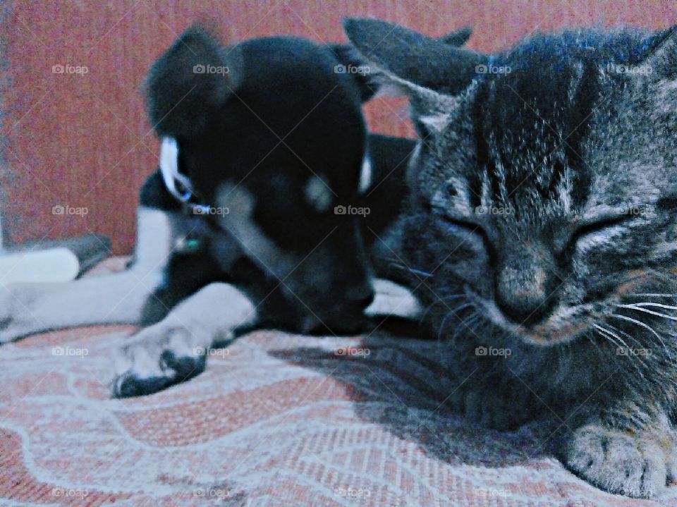 chuchay and lufitha💕