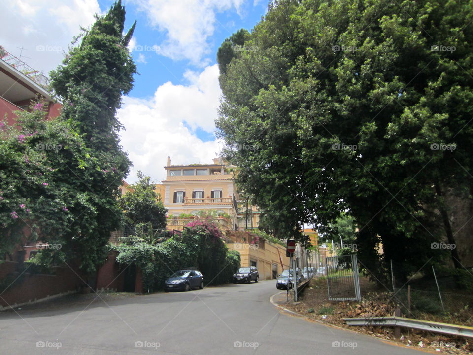 Tree, Road, No Person, Travel, Architecture