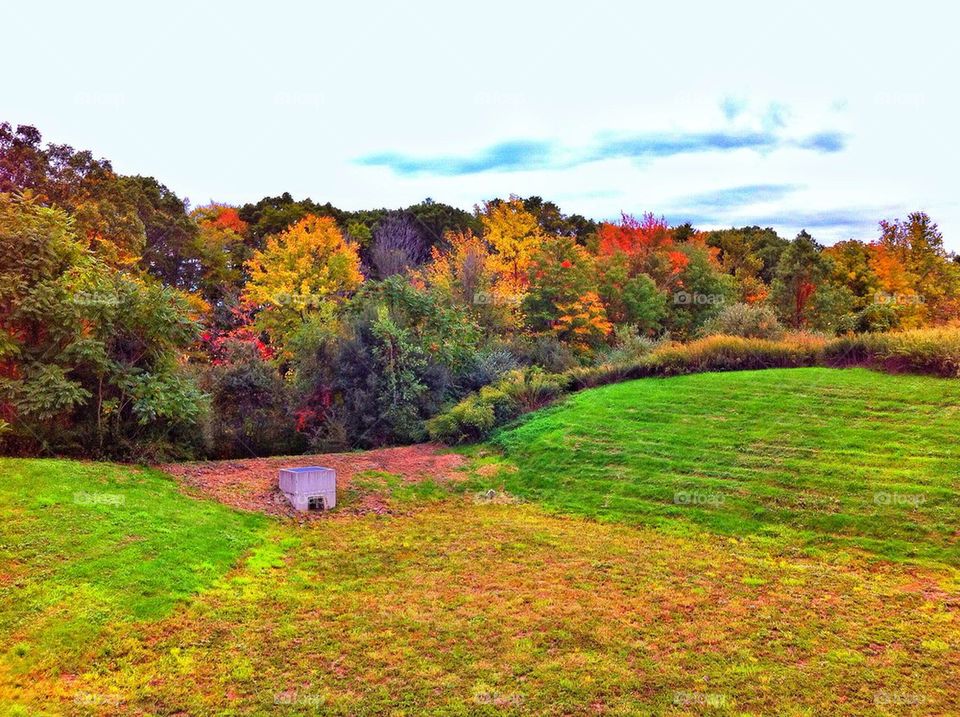 Milford Quarry, Milford CT