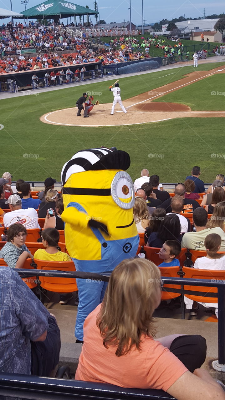 Minions. The entire crowd loved the minions at the baseball game in historic downtown Frederick, Maryland
