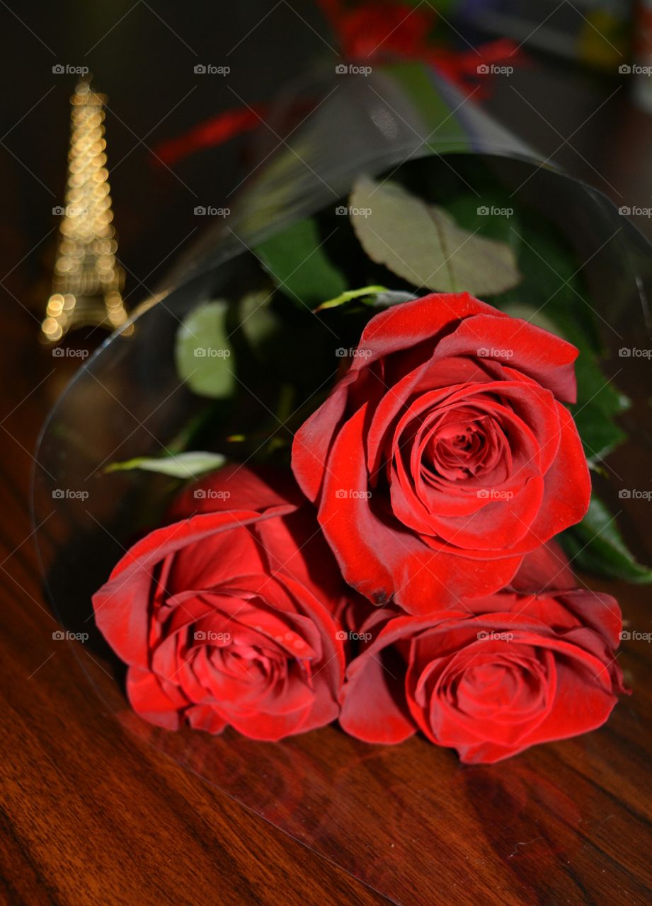 Rose, Romance, Flower, Love, Wedding