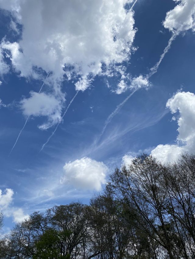 Beauty in the sky 