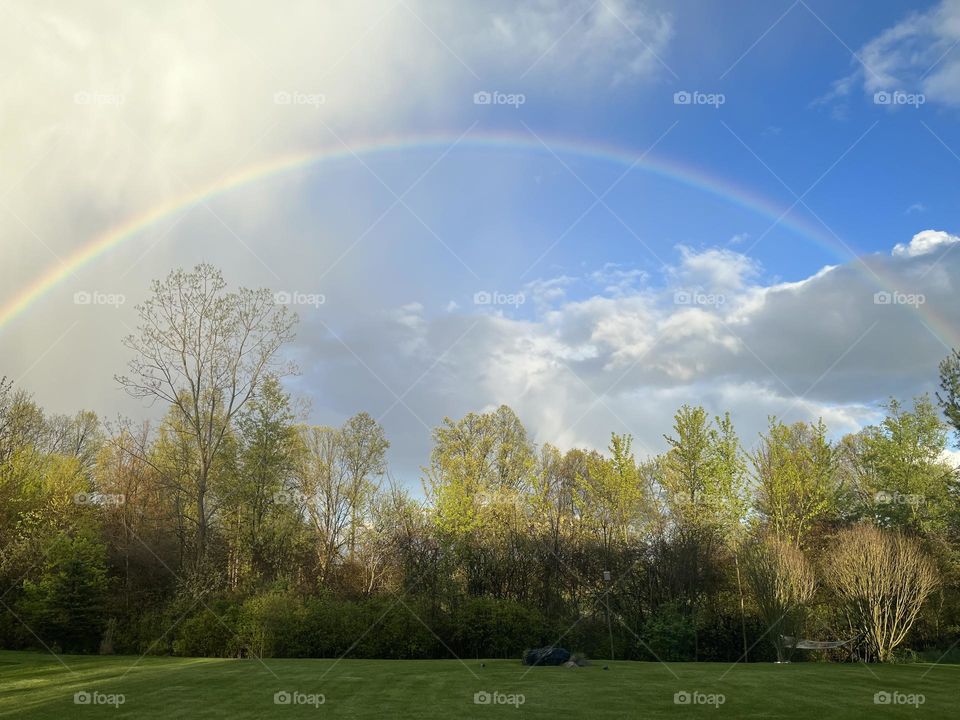 Rainbow in Spring 