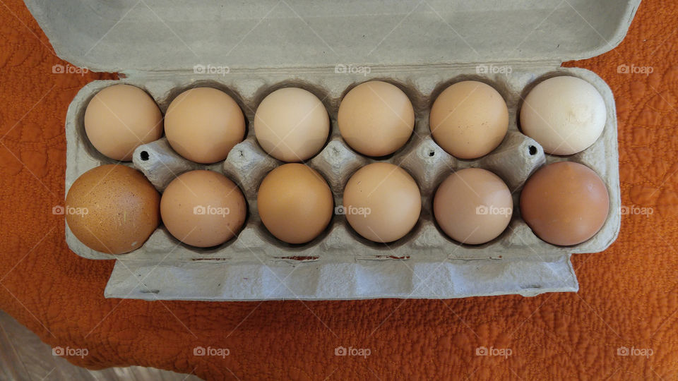 dozen brown eggs in carton